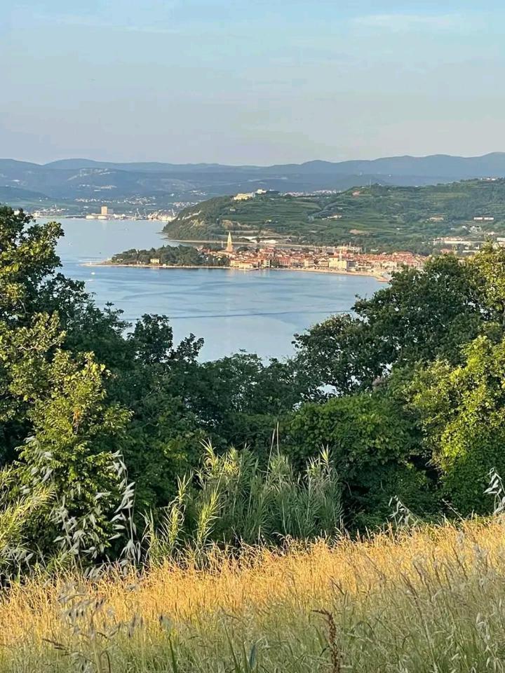 Vanilla Izola Εξωτερικό φωτογραφία